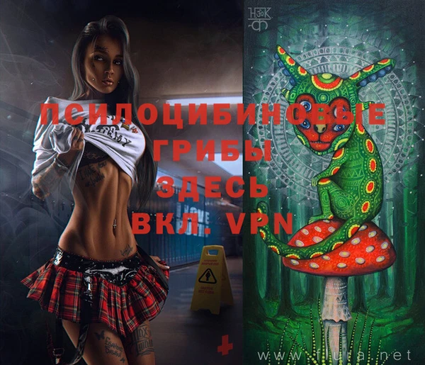apvp Тольятти