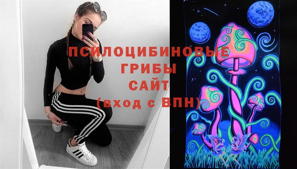spice Ладушкин